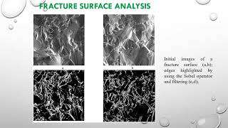 ITTAP24 Konovalenko MaruschakComputer assisted analysis of transgranular and intergranular microme [upl. by Eelac129]