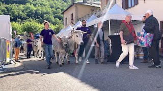 La Grande foire de Tarascon sur Ariège  une tradition ancestrale à ne pas manquer [upl. by Meingoldas672]