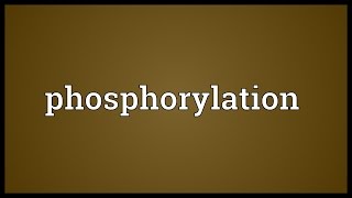 Phosphorylation Meaning [upl. by Bum]