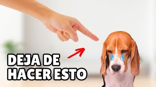 15 FORMAS en las que estás LASTIMANDO a tu perro sin darte cuenta [upl. by Demp]