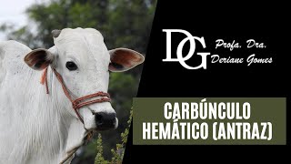 005 Carbúnculo Hemático Antraz  Da Etiologia ao Tratamento [upl. by Aciretahs34]