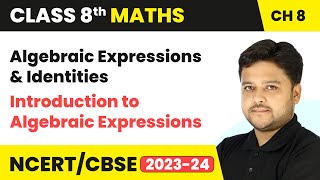 Algebraic Expressions amp Identities  Introduction to Algebraic Expressions  Class 8 Maths Chapter 8 [upl. by Zzabahs]