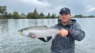 Coho Salmon Fishing with dicknite at Snohomish River [upl. by Selry794]