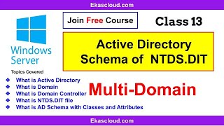 ActiveDirectory Schema in details with NTDS Partitions  Huzefa  Ekascloud [upl. by Caton773]