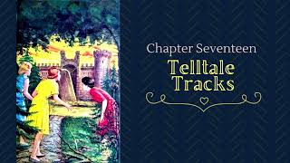 The Moonstone Castle Mystery  Chapter 17  Telltale Tracks [upl. by Asilegna]