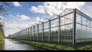 Venlo Greenhouse [upl. by Sarine886]