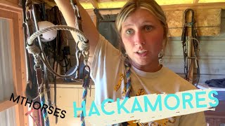 My hackamore collection and what I use  MTHorses [upl. by Yadnil]