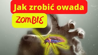 Jak zrobić z owada zombie 😱shorts [upl. by Thorndike]