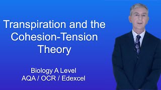 A Level Biology Revision quotTranspiration and the CohesionTension Theoryquot [upl. by Arte]