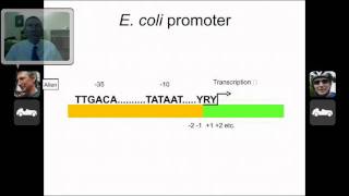 Prokaryotic Transcription and Promoters [upl. by Laurent]