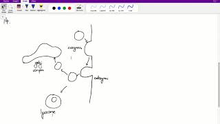 ACER GAMSAT Purple Booklet Worked Solutions  Unit 4 Q1217 [upl. by Ybbed238]