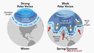 Polar Vortex  How its formed amp When it is dangerous  Indepth Explained [upl. by Elboa528]