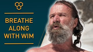 Breathe Along with Wim Hof  Guided Breathing [upl. by Sparke]