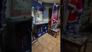 BEAUTIFUL GEMSTONES MUSEUM😍 shorts museum gemstone youtubeshorts shortvideo [upl. by Aziaf]