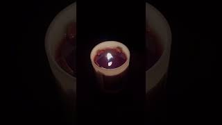 Wood wick candle asmr shorts2024 shortsviral shortsyoutube shortsbeta shorts [upl. by Tamqrah]