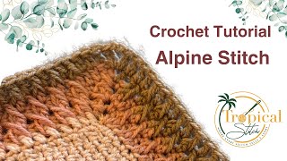 CROCHET ALPINE STITCH  All Skill Levels [upl. by Theo]