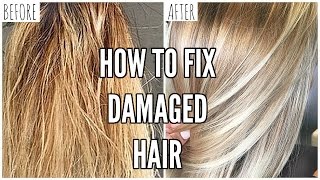 How To Fix EXTREMELY Damaged Hair At Home [upl. by Eulalee]