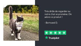 Avis truspilot pour chats [upl. by Karia]