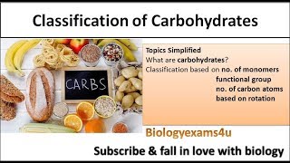 Carbohydrates Classification Structure and Nomenclature carbohydrates biologyexams4u [upl. by Kieryt729]