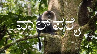 VALPARAI  2nd PUC  KANNADA LESSON EXPLAINED [upl. by Mattson168]