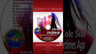 Walmart In Heaven walmart music rockmusic [upl. by Ytsirk]