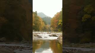 Autumn river sounds autumn river [upl. by Sauveur]