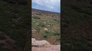 72623 hike New Mexico scenic view from climb up hike mountains nature video canyon newmexico [upl. by Brandea374]