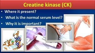 Creatine KinaseCKClear overview [upl. by Aidua]