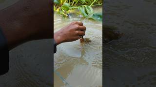 Unique Fishing hand Fishing Challenge Video 😲fishingshortsviralshort [upl. by Stoddart]