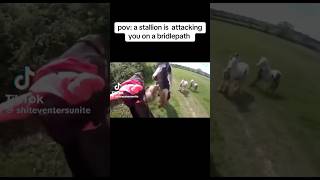 stallion attacking mare on a hack 😱🐴 equestrain shortvideos youtube viral [upl. by Nitin]