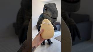 Mystery Dino Egg 🦖 [upl. by Hazeefah993]