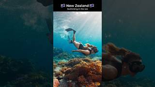 New zealand6 Beautiful 4k movie 8kmovie travel best [upl. by Shadow483]