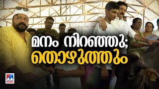 തൊഴുത്ത് നിറയെ ഇനി പശുക്കള്‍ ചേര്‍ത്തണച്ച് താങ്ങേകി മലയാളനാട്  Idukki  Farmers [upl. by Ynogoham51]