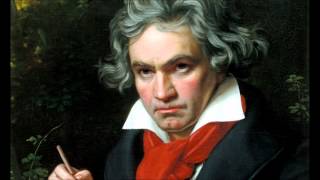 Ludwig Van Beethovens 5th Symphony in C Minor Full [upl. by Neerahs]