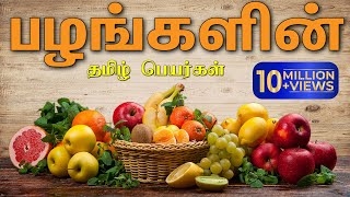 பழங்களின் பெயர்கள்  Learn fruit names in Tamil for kids [upl. by Aisatsanna]