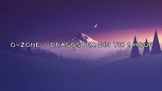 O Zone  Dragostea Din Tei 1 HOUR [upl. by Wieche17]