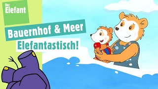 Bobo besucht einen Bauernhof für Kinder amp Bobo fährt ans Meer  Der Elefant  WDR [upl. by Valle377]