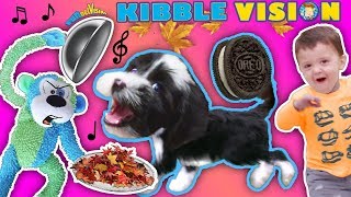 OUR PUPPY DOG TALKING ABOUT FOOD  FUNnel Vis OREO Songs Compilation Vlog  Climbing Wall T [upl. by Feeney]