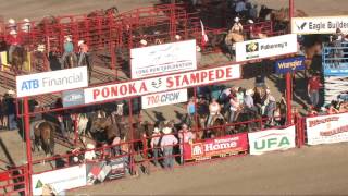 Ponoka Stampede Chuckwagons  2014 Finals [upl. by Ymme]