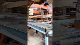 Wood for home depot lumber lumberjack woodmizer logosol norwood youtubeshorts video ytshorts [upl. by Atikahs]