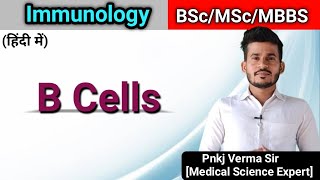 B cell activation and differentiation  Immunology  Pnkj Verma Sir [upl. by Bechler]