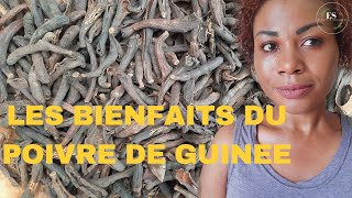 Les bienfaits du poivre de Guineesanteepilepsienatureconseilsspiritualitebeauteplante [upl. by Naenaj]