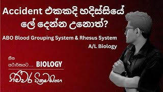 Accident එකකදි හදිස්සියේ ලේ දෙන්න උනොත් ABO Blood Grouping System amp Rhesus System AL Biology [upl. by Keeley993]