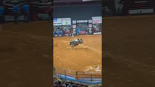 CINCH World’s Toughest Rodeo in Columbia SC CINCH chinchworldstoughestrodeo rodeo bullriders [upl. by Nerahs]