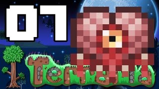 BRAIN OF CONFUSION  Terraria 13 EXPERT MODE Ep7 [upl. by Habas]