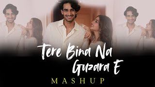 Tere Bina Na Guzara E Mashup  Josh Brar  jukebox  Latest Insta Trend Anirudha  Rahul Jinwal Mix [upl. by Bullough]