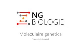 Moleculaire genetica  transcriptie in detail  VWO [upl. by Virgy675]