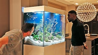 Chatting with a Luxury Aquarium Designer [upl. by Leddy916]