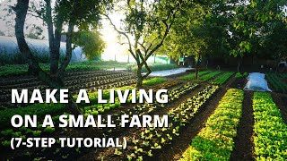 How to Start a Farm From Scratch Beginners Guide to Growing Vegetables for Profit [upl. by Nolrah]