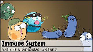 Immune System [upl. by Asiret701]